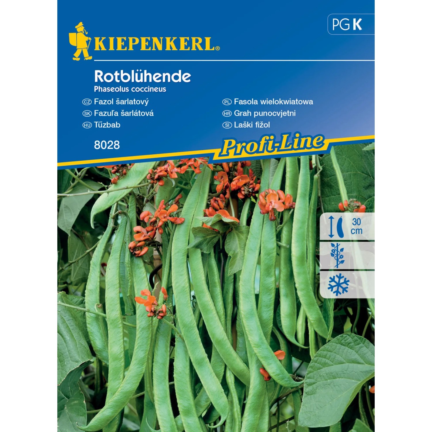 Kiepenkerl Semínka Fazol šarlatový Rotblühende