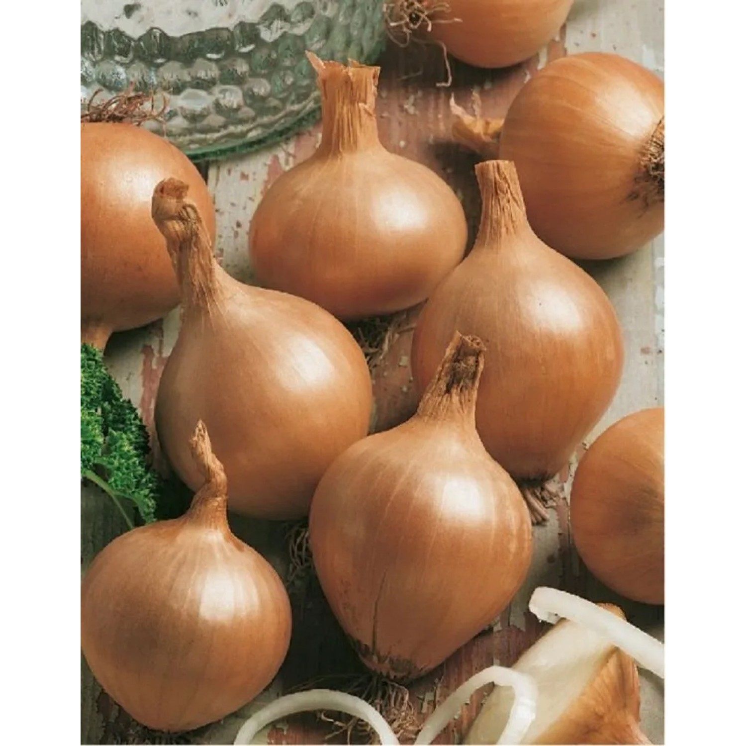 GardenSeed Premium Cibule sazečka Všetana, 300 g