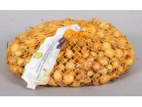 Cibule sazečka ŠTUTGART 500 g Cibule sazečka ŠTUTGART 500 g