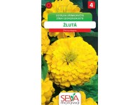 Semínka Ostálka jiřinkokvětá žlutá (Zinnia elegans)