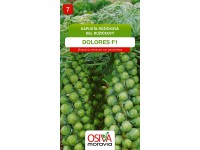 Semienka Kapusta růžičková Dolores F1