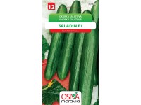 Semínka Okurka salátová Saladin F1 (Cucumis sativus L.)