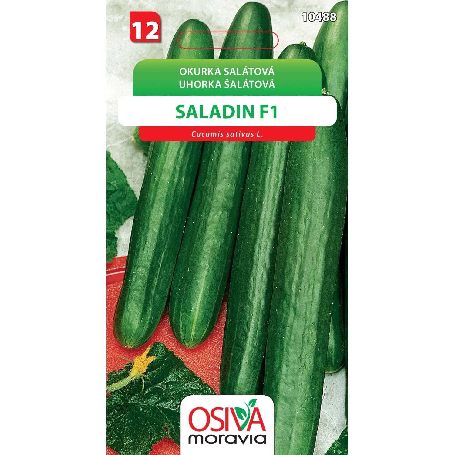 Semínka Okurka salátová Saladin F1 (Cucumis sativus L.)