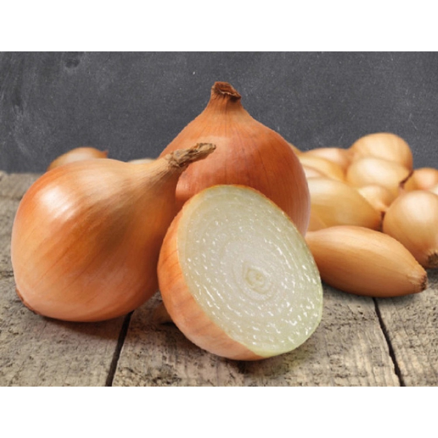 GardenSeed Premium Cibule sazečka Cupido, 250 g