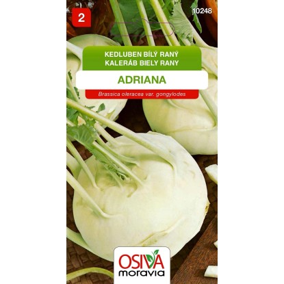 Semínka Kedluben bílý raný Adriana (Brassica oleracea var. gongylodes)