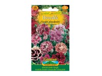 Gardenie Hvozdík čínský plnokvětý, směs