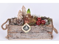 Aranžmá hvězdníku (Hippeastrum hybride) v dřevěném květináči, pr. 26 cm