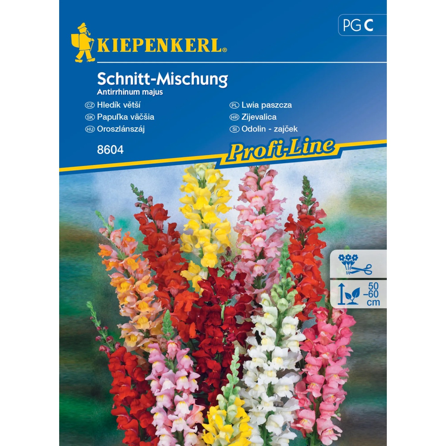 Kiepenkerl Semínka Hledík větší