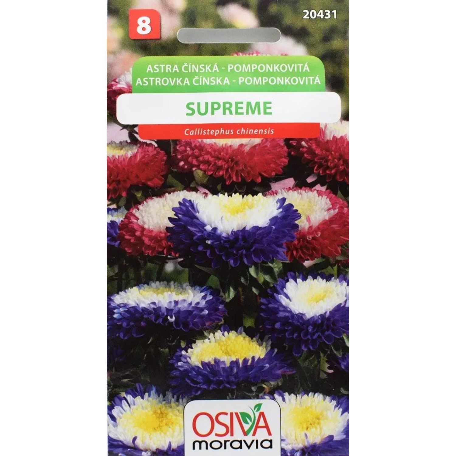 Semínka Astra čínská pomponkovitá Supreme (Callistephus chinensis)