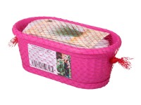 Nohel Garden Truhlík Malý zahradník substrát + pažitka 22 cm