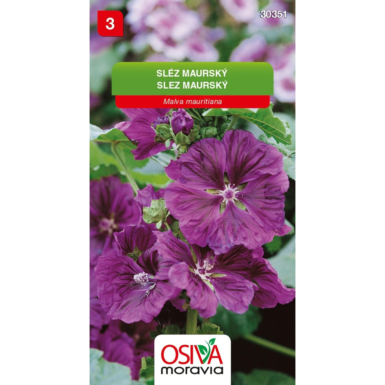 Semínka Sléz maurský (Malva mauritiana)