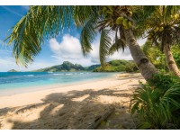 Komar Papírová fototapeta Castaway 368 x 254 cm Komar Papírová fototapeta Castaway 368 x 254 cm