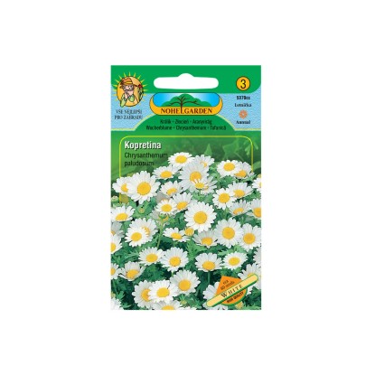 Nohel Garden Kopretina bahenní, bílá