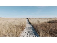 Bondecor Obraz, tištěné plátno Krajina 80 x 150 cm