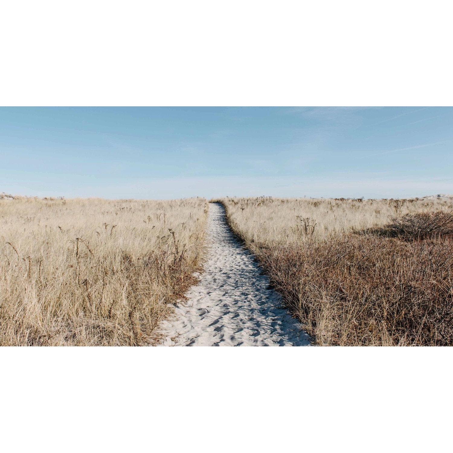 Bondecor Obraz, tištěné plátno Krajina 80 x 150 cm