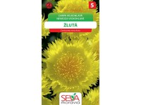 Semínka Chrpa velkohlavá žlutá (Centaurea moschata)