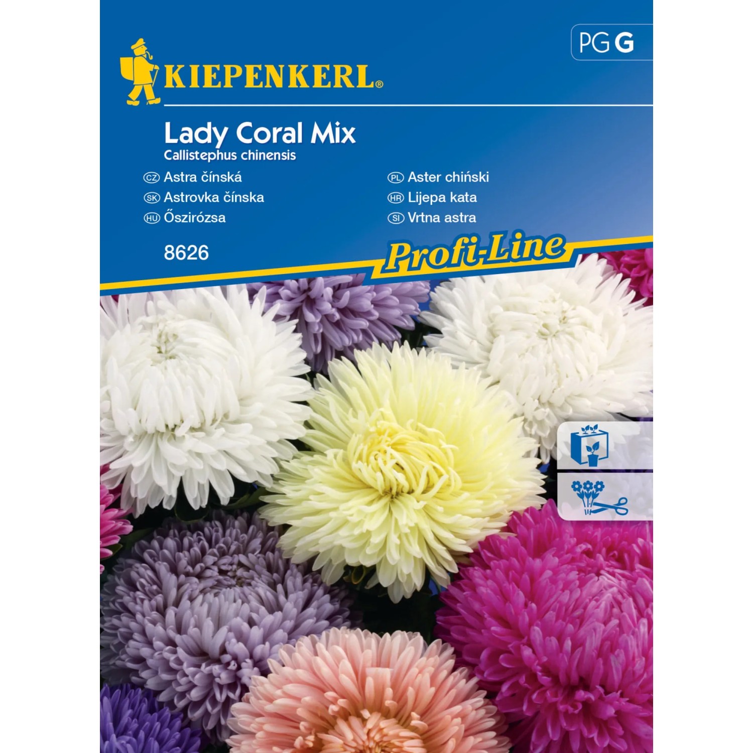 Kiepenkerl Semínka Astra čínská Lady Coral mix