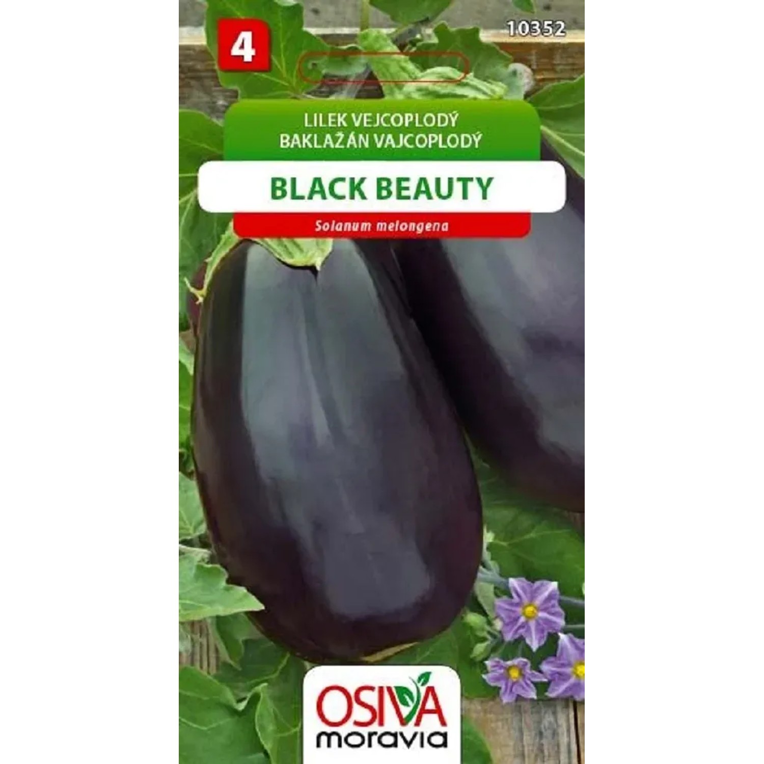 Semínka Lilek vejcoplodý Black Beauty (Solanum melongena)