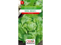 Osiva Moravia Salát hlávkový Král Máje