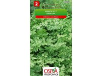 Semínka Kerblík setý (Anthriscus cerefolium) Semínka Kerblík setý (Anthriscus cerefolium)