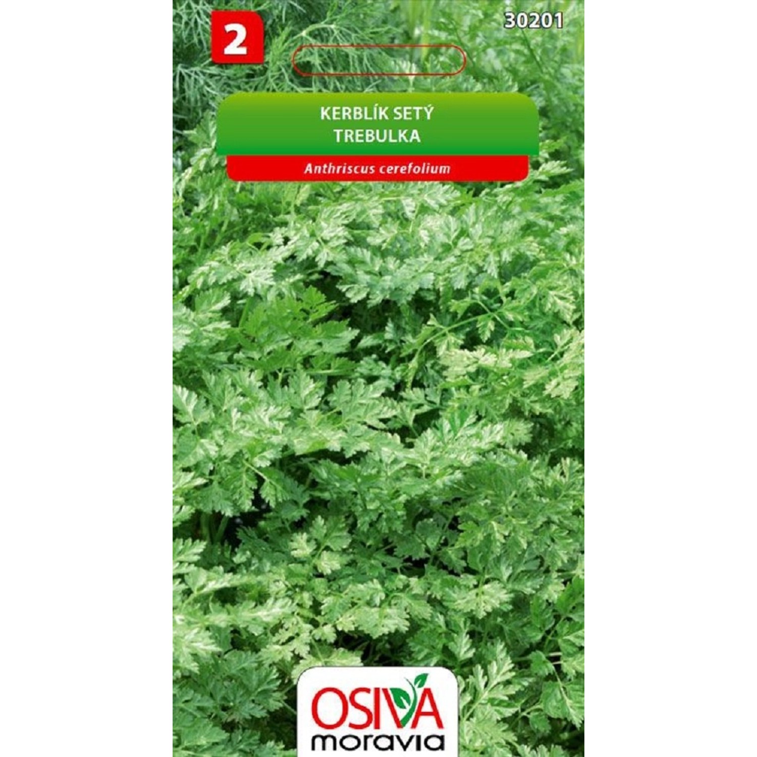 Semínka Kerblík setý (Anthriscus cerefolium)