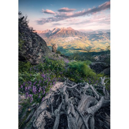 Komar Vliesová fototapeta Flowering Tales 200 x 280 cm