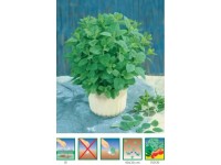 GardenSeed Premium Semínka Meduňka lékařská 0,5 g GardenSeed Premium Semínka Meduňka lékařská 0,5 g