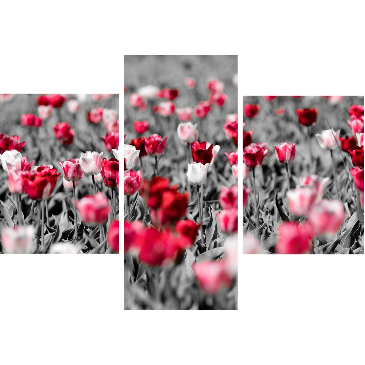 Bondecor 3dílná sada obrazů Flora 30 x 42 cm