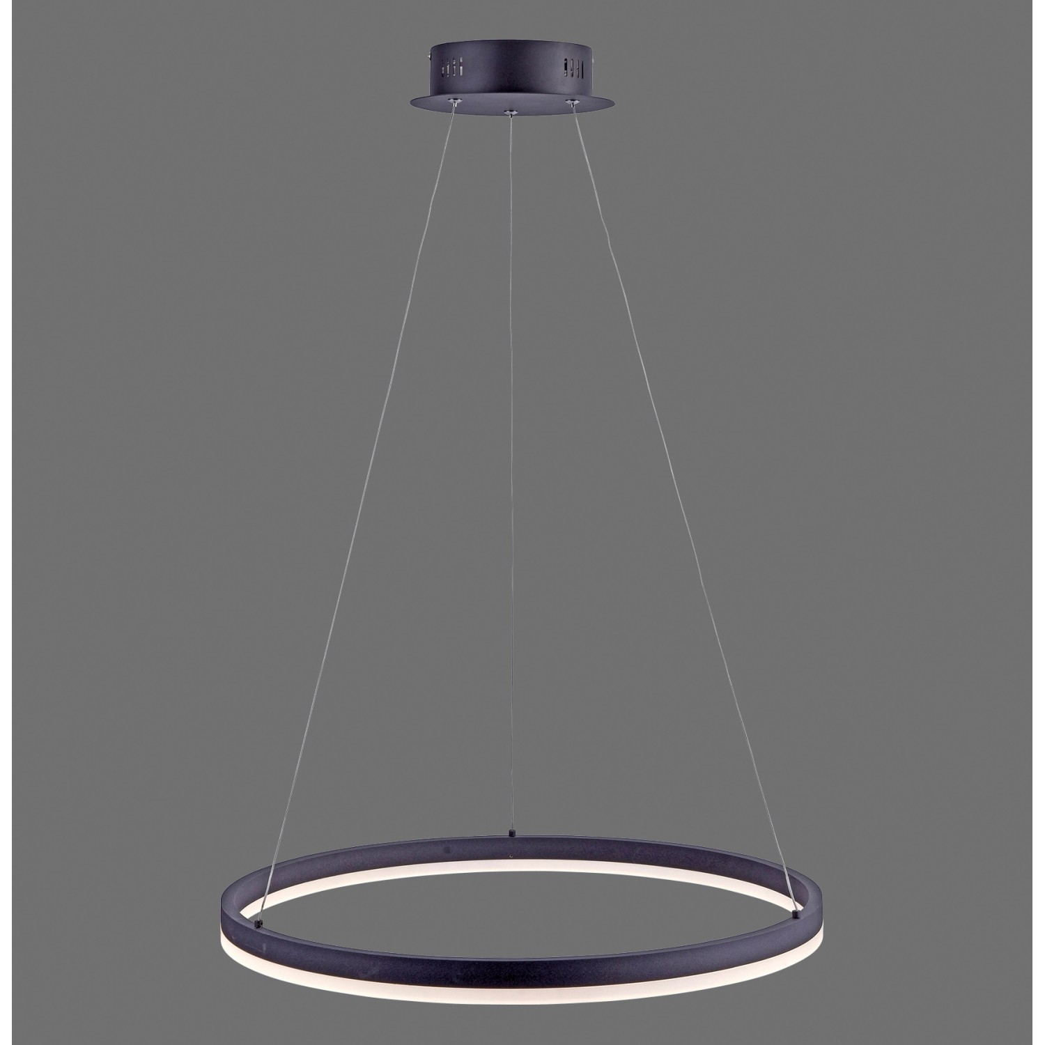 Paul Neuhaus Závěsné LED svítidlo Titus, 38W, 5250lm, antracit, pr. 60 x 120 cm