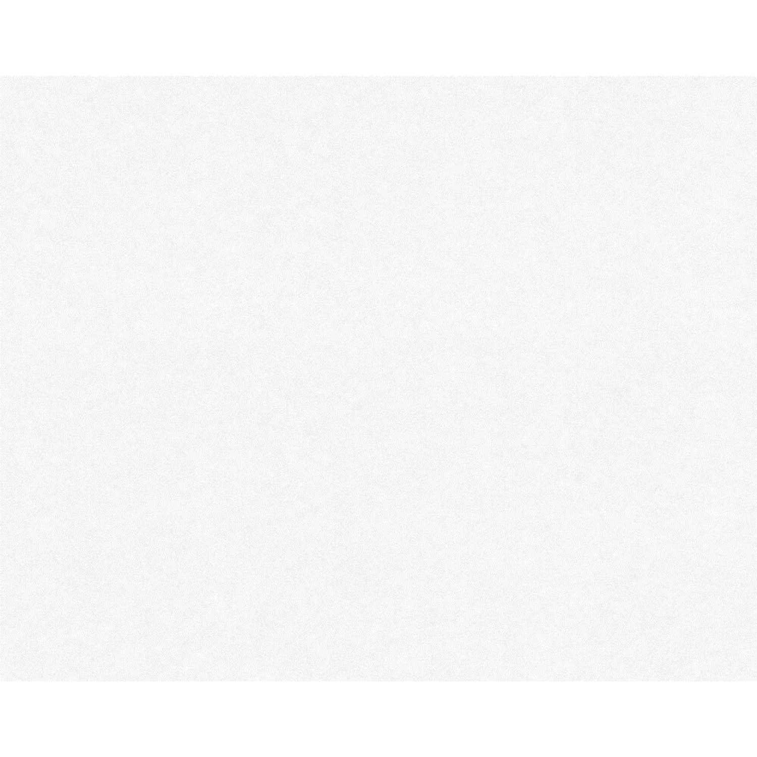 Pigment Tapeta vliesová bílá