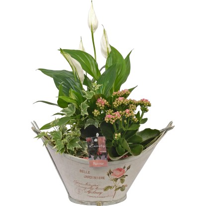 Aranžmá v bambusové loďce pr. květináče cca 34 cm