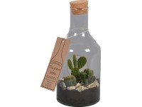 Green Bottle® Skleněná láhev s mixem kaktusů průměr květináče cca 15 cm