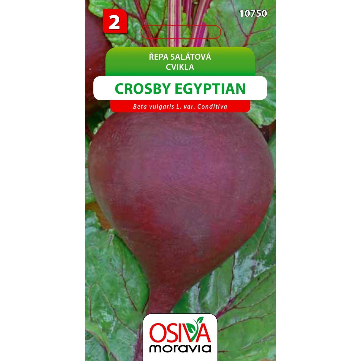 Semínka Řepa salátová Crosby Egyptian (Beta vulgaris L. var. Conditiva)