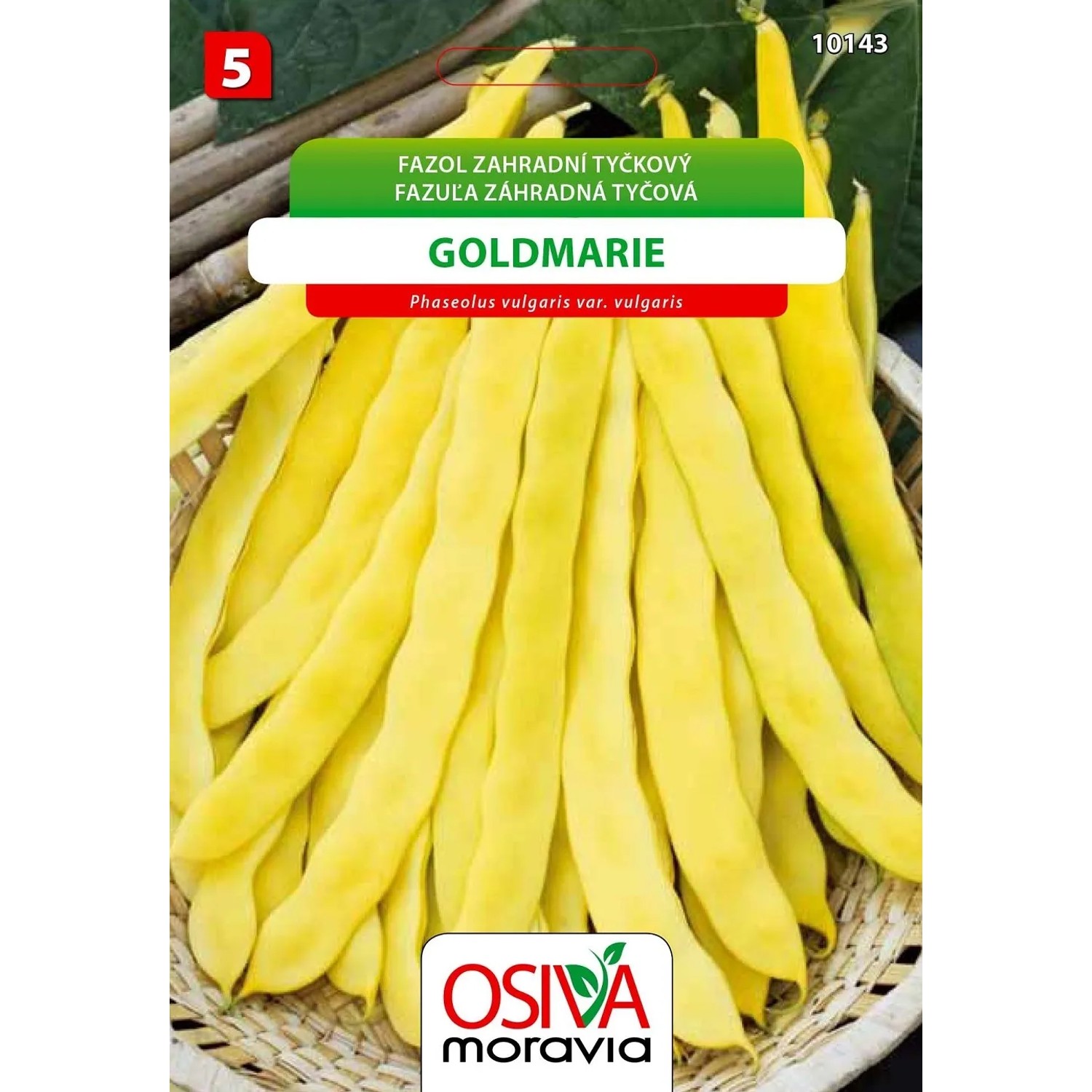 Semínka Fazol zahradní tyčkový Goldmarie (Phaseolus vulgaris var. vulgaris)