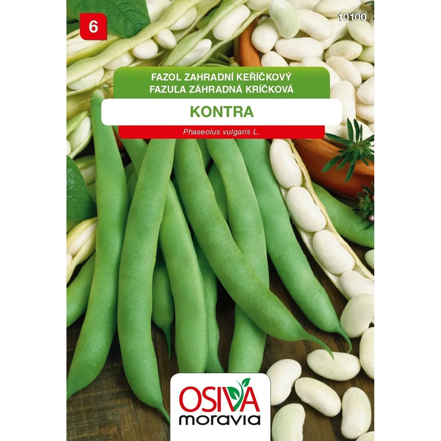 Semínka Fazol zahradní keříčkový Kontra (Phaseolus vulgaris L.)