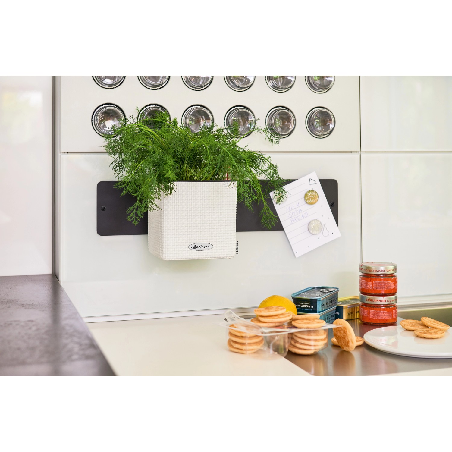 Lechuza Sada květináčů Green Wall Home Kit Color bílá 48 cm