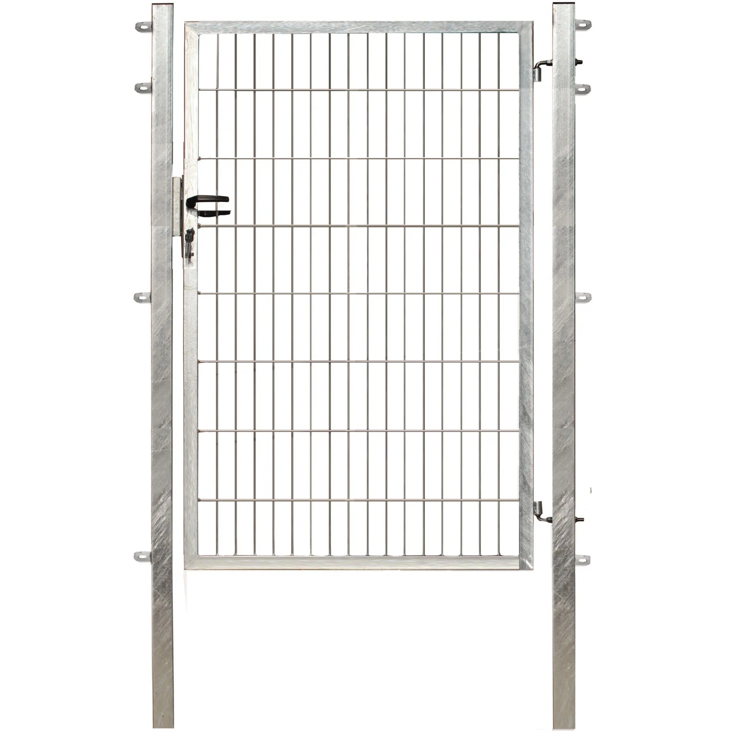 Floraworld Jednokřídlá branka s dvojitou výplní pozink 160 x 100 cm