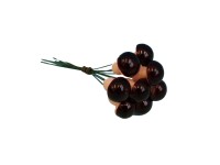 Hříbek lakovaný 20 x 25 mm, Ve svazku 10 kusů Hříbek lakovaný 20 x 25 mm, Ve svazku 10 kusů