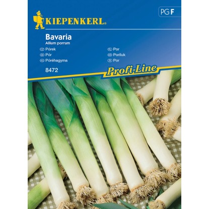 Semena pórku Kiepenkerl Bavaria: Pórek se zelenými listy a bílým stonkem.