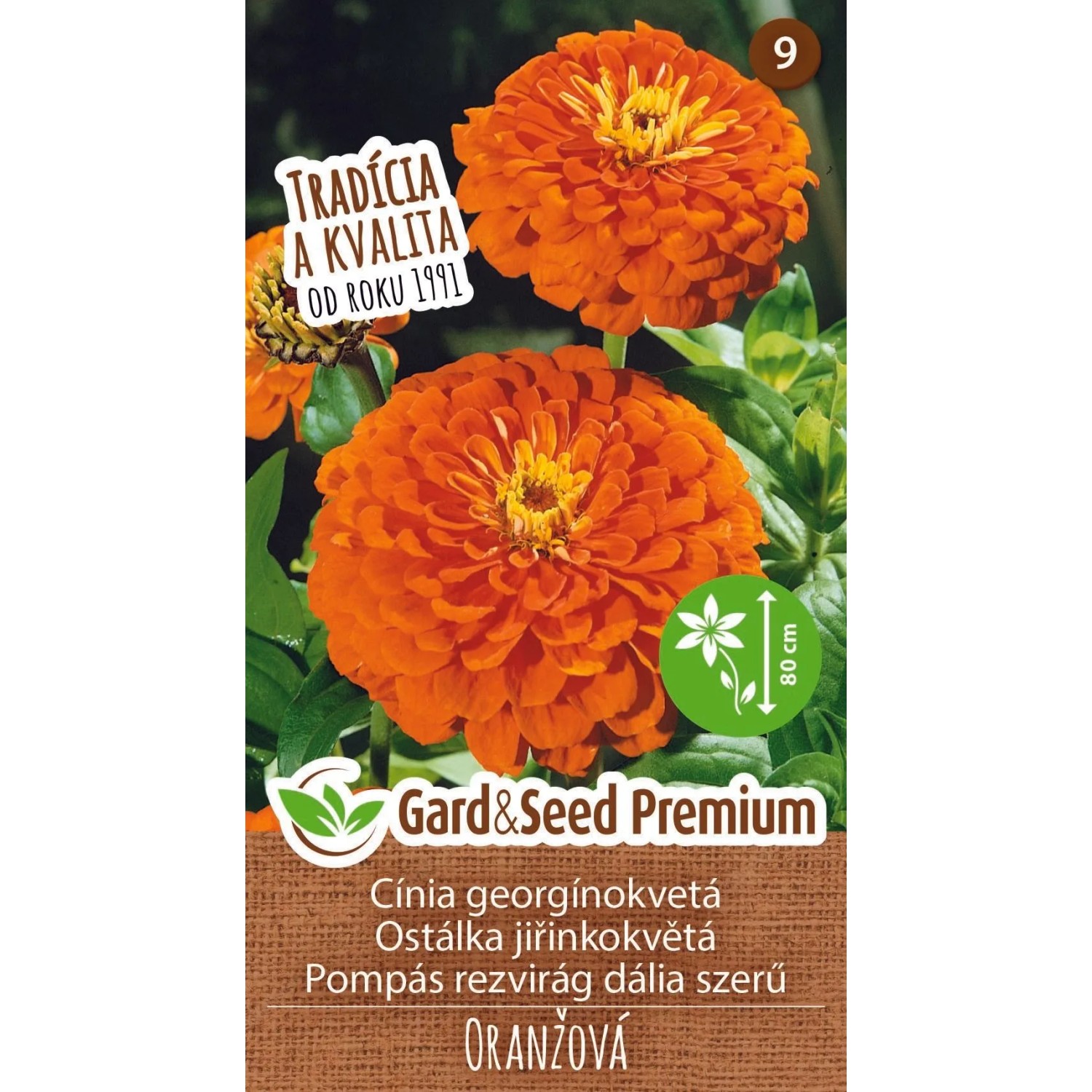 GardenSeed Premium Semínka Ostálka jiřinokvětá oranžová