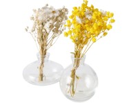 Boltze Váza Filea různé druhy