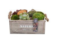 Royal Lemkes Netřesky (Sempervivum) v dřevěné bedýnce 28 cm