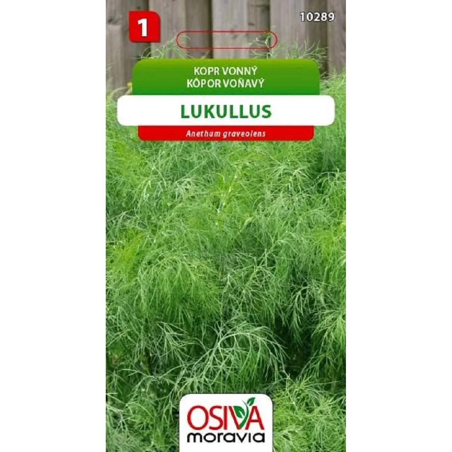 Semínka Kopr vonný Lukullus (Anethum graveolens)