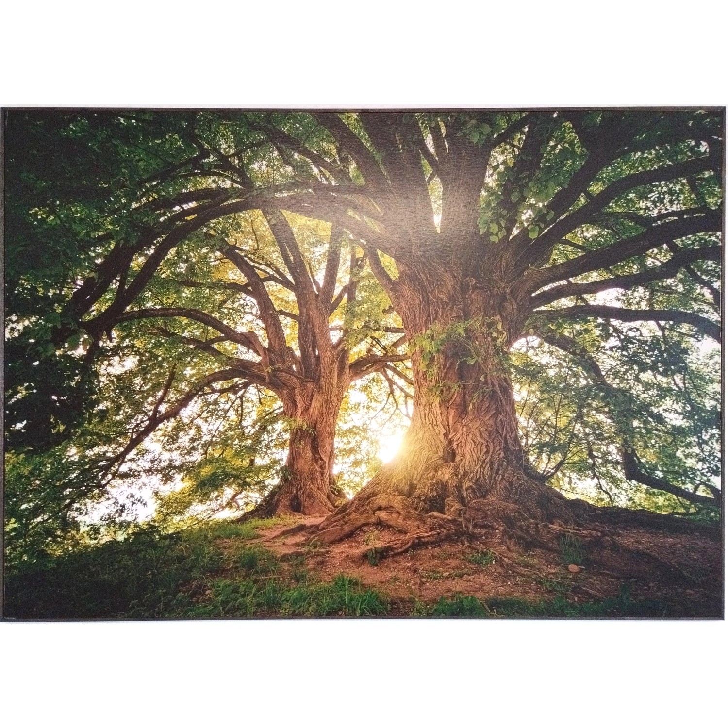 Bondecor Obraz Putframe Slunce 70 x 100 cm