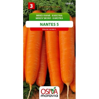 Semínka Mrkev raná Karotka Nantes 5 (Daucus carota L.)