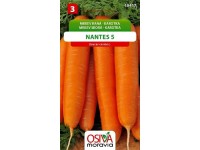 Semínka Mrkev raná Karotka Nantes 5 (Daucus carota L.)