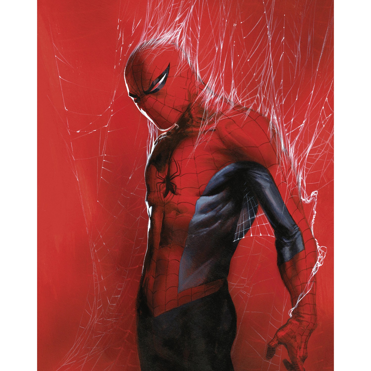 Komar Plakát Marvel Spider-Man Through the Spider Web 40 cm x 50 cm