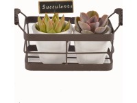 Aranžmá s dvojicí echevérií v kovovém košíku průměr květináče cca 24 cm Aranžmá s dvojicí echevérií v kovovém košíku průměr květináče cca 24 cm