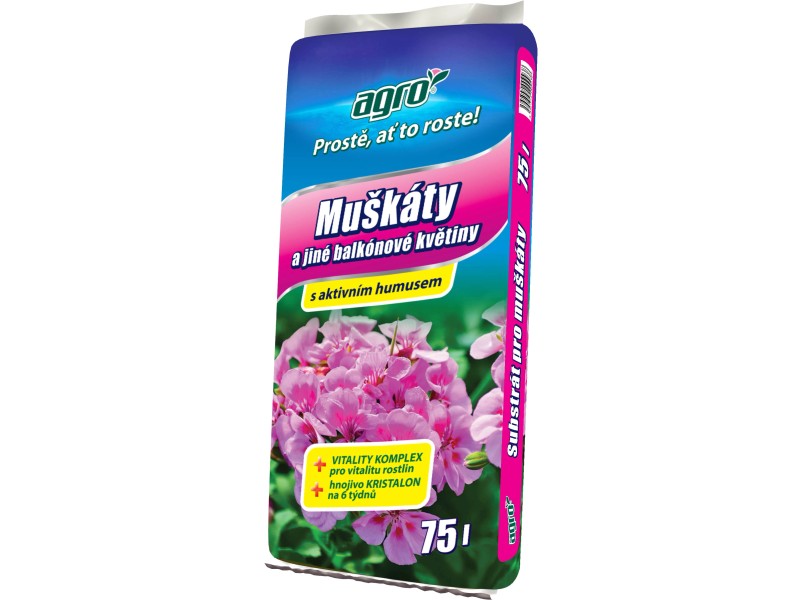 Obi Pnouci Muskaty (pnoucích muškátů, bohaté kvetení, Pnoucí muškáty) Obi Pnouci Muskaty