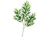 Větvička Listnatce se 117 listy 75 cm x 25 cm zelená